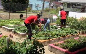 Read more about the article Planting To Sustain Our Future